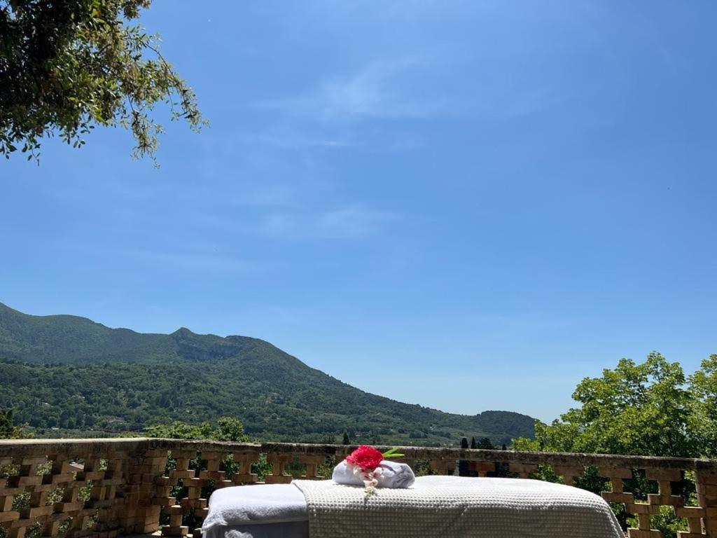 Les Horizons - Spa-Jacuzzi - Massage- Sauna - 4 Saisons - Piscine Chauffee Toute L'Annee - 800M Centre Ville Nyons Exterior foto